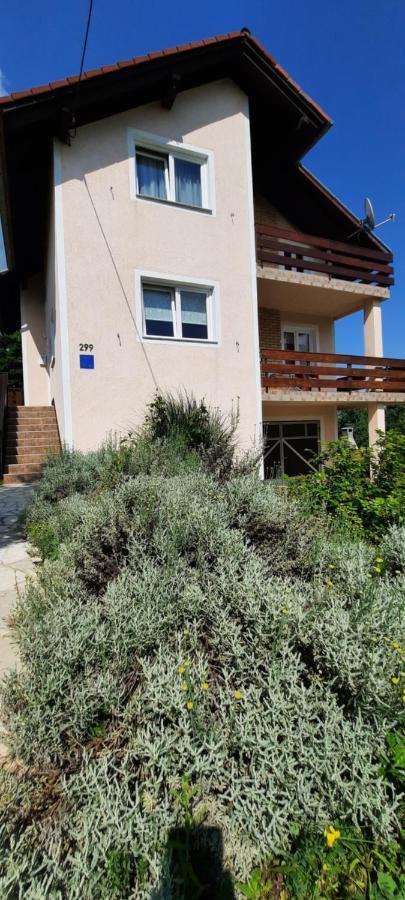Villa House Anita