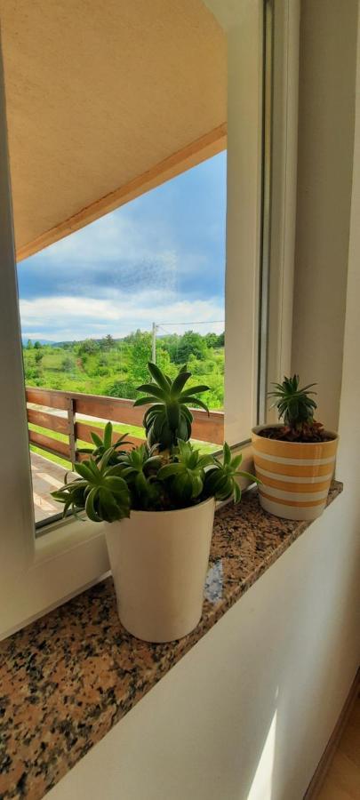 Villa House Anita Grabovac (Karlovac)